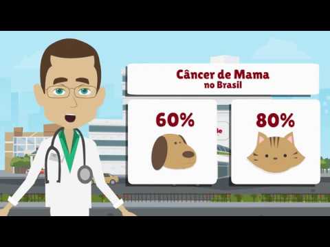 Vídeo: O Que O Mês Nacional De Conscientização Sobre O Câncer De Mama Significa Para Seus Animais De Estimação