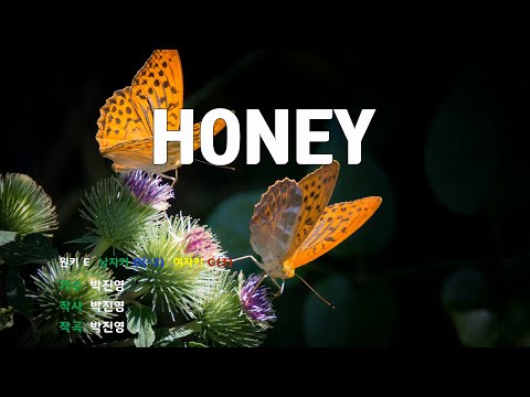 [은성반주기] 허니(HONEY) - 박진영 /MR/가사