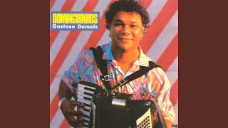 Video thumbnail of "Dominguinhos - Gostoso Demais"