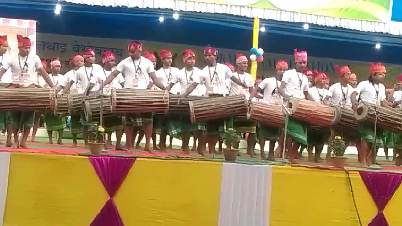 Jubilee celebration rose bush image