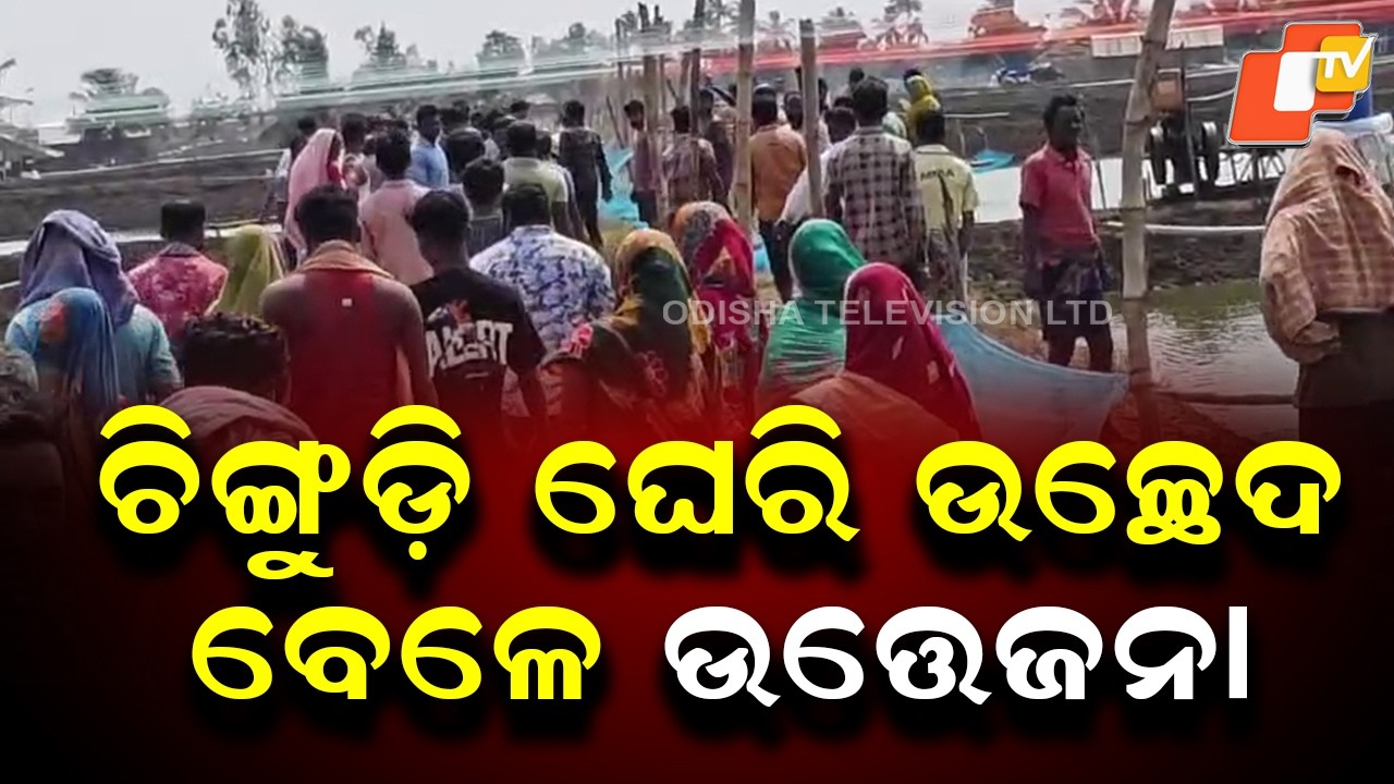 Tension Erupts During Eviction of Illegal Shrimp Enclosures in Kanika Range