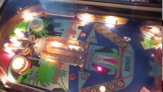 Williams Darling 1973 Pinball Machine