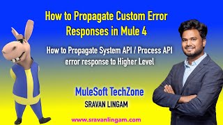 How to Propagate Error Response From System/Process APIs to Higher Level | Mule 4 | Error Handling screenshot 3