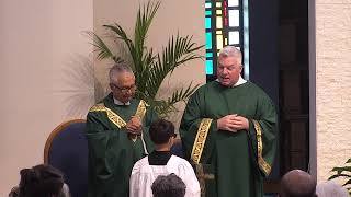 15th Sunday of Ordinary Time 12 PM Mass