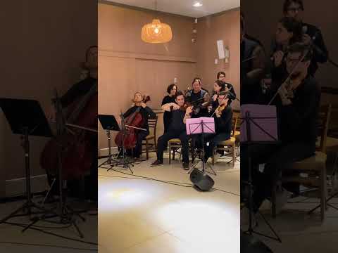 Ode à Alegria — Beethoven — Orquestra Sublime