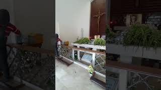 THE GRAVEYARD OF VENERABLE ALOYSIUS SCHWARTZ #shorts #graveyard #aloysius #viral #trending #follow