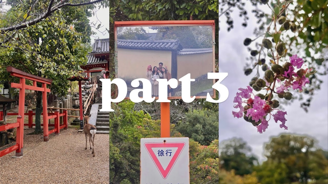 Japan Trip - Fall 2025 | Part 3