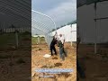 Innovative Farming: Assembling Greenhouse Frames