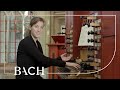 Schouten on Bach Fugue in G minor BWV 578 | Netherlands Bach Society