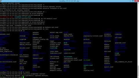 How to install and run Apache web server in Ubuntu Linux Setup Virtual hosts (Website)  (AWS)