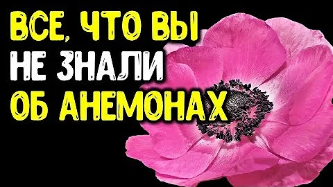 Co je dusík, fosfor, draslík?