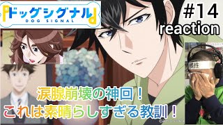 ドッグシグナル 同時視聴