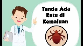 Awas Ini Tanda Ada Kutu Di Kemaluan