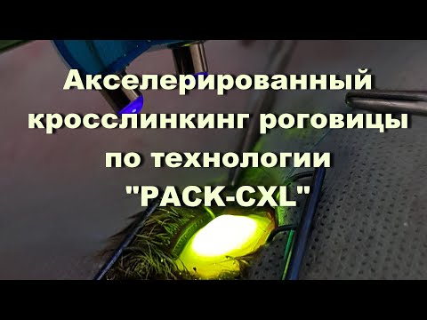 Акселерированный кросслинкинг роговицы по технологии "PACK-CXL"