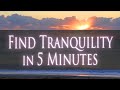 Find tranquility now  5 minutes relaxation music timer 783hz  immediate relaxation  rejuvenation