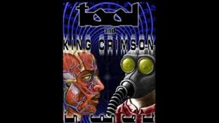 Tool & King Crimson - San Diego _ 8-8-2001 (part 3)