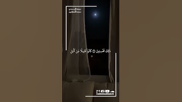 سورة  :الذاريات 15- 19