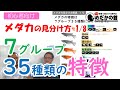 【メダカの見分け方 1/8】35種類の特徴と品種名の付け方、ニックネームとの違い等