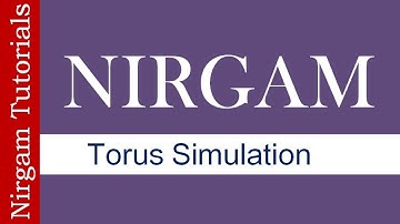 Torus Topology Simulation in Nirgam Simulator
