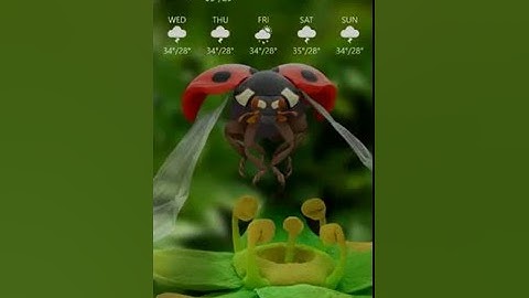 Microsoft Edge Windows 10 Mobile Build 14342