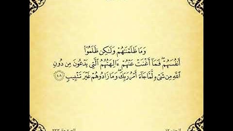 الصفحة ٢٣٣من سورة هود شرح لربط الايات وفهمها