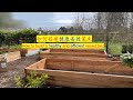 【养花·种菜】025 DIY 如何搭建健康高效菜床 How to build a healthy and efficient raised bed 健康菜园系列之一