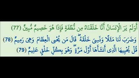 سورة يس - أَوَلَمْ يَرَ الْإِنسَانُ أَنَّا خَلَقْنَاهُ مِن نُّطْفَةٍ فَإِذَا هُوَ خَصِيمٌ مُّبِينٌ