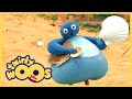 At the Beach with the Twirlywoos and More!