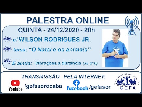 Assista: Palestra online - c/ WILSON RODRIGUES JR (24/12/2020)