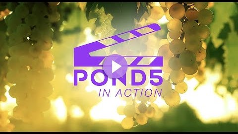 Pond5 in Action: Winemaking 🎬
