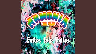 Video thumbnail of "Armonía 10 - Cervecero"