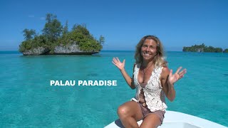 The best of Palau an island paradise