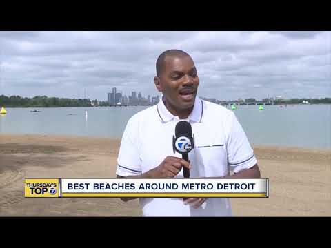 Vídeo: Metro Detroit Beaches and Parks