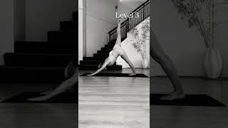 What level can you do? #pilates #strength #movement #workinprogress