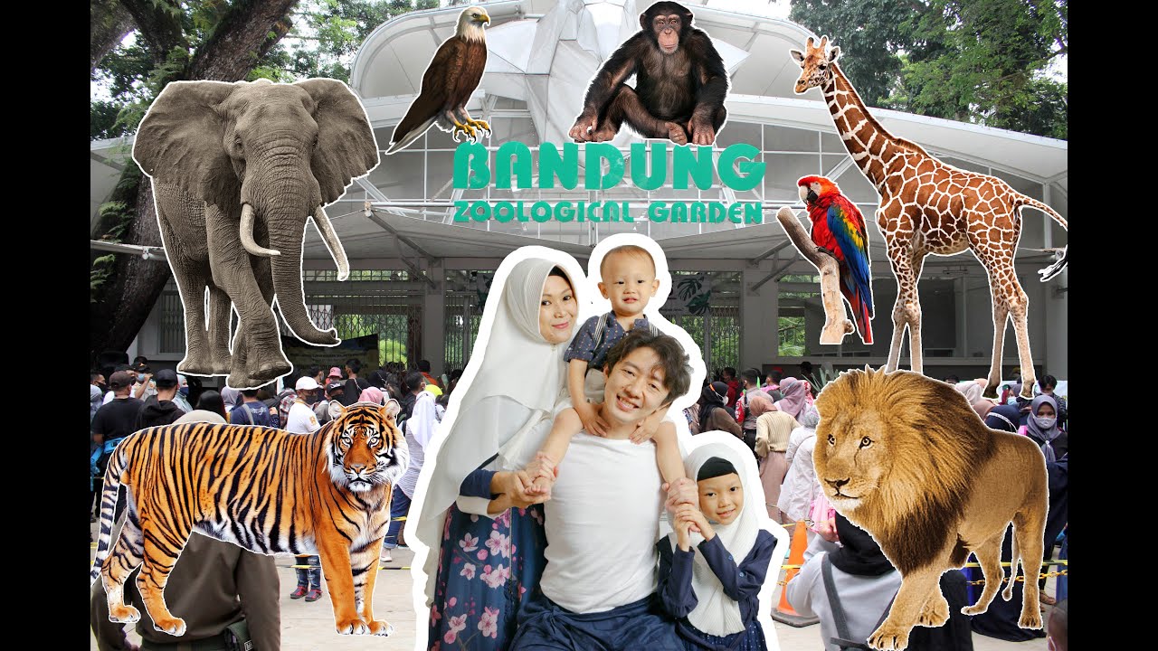 LIBURAN KE KEBUN BINATANG BANDUNG BARU 2022 | NEVS Family | Bandung Zoological Garden