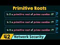 Primitive Roots in Network Security 🔐