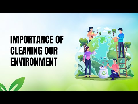 Why Clean Environment Is Necessary For Healthy Living
