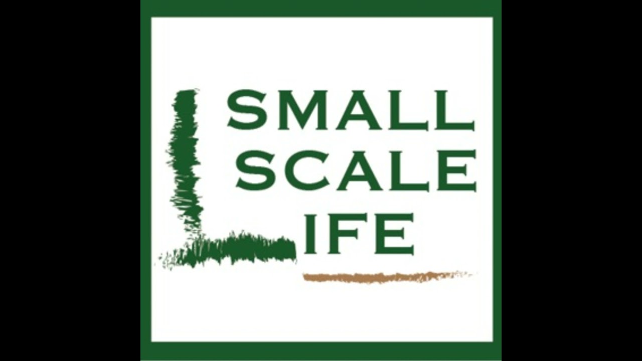 How to Thrive in Slow Business Cycles