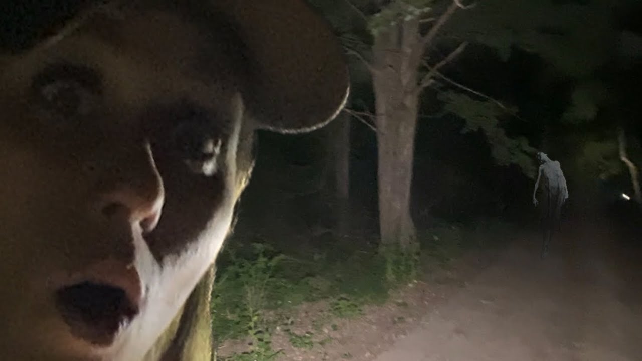 ABANDONED COUNTRY ROAD