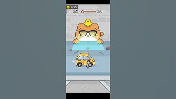 Hide and seek cat escape 👀🐱 level 173#sorts#viral#youtubeshorts#chickukevlogs