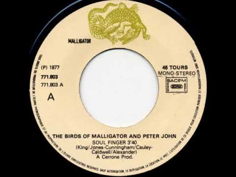 The Birds of Malligator & Peter John