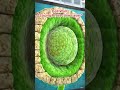 Difference Between Cell Wall and Cell Membrane | Class 9 Biology #shorts