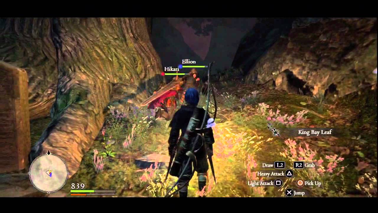 Dragon S Dogma A Fabled Dram By Kuraudou