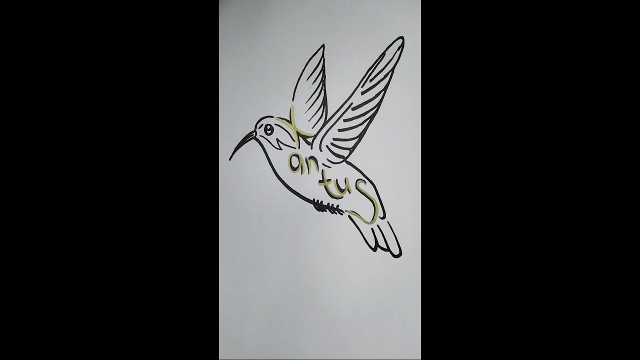 How to draw XANTUS bird turnwords 