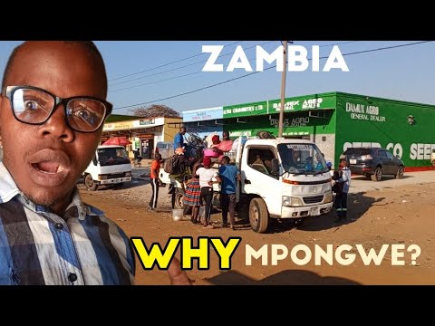 WHY MPONGWE ZAMBIA 2024