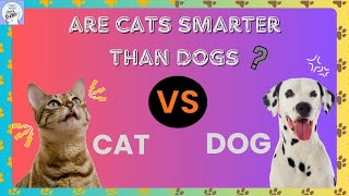 Discover: Are Cats Smarter Than Dogs? by cats aid 204 views 1 month ago 5 minutes, 14 seconds