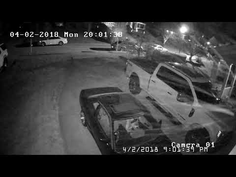 Original pollen storm video, without facebook compression