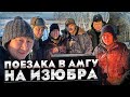 Поездка в Амгу. На изюбра!!!