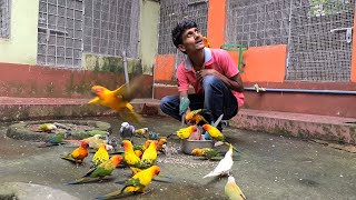 Birds Bring Misfortune Or Luck For Parrot Dipankar?