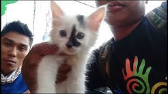 Cari Meong " Di Pasar Jatinegara " Lengkap - Durasi: 15.16. 